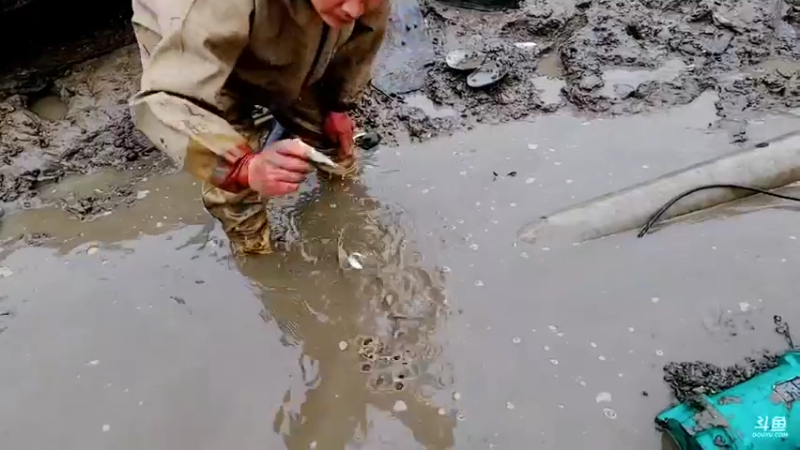 【2022-02-16 16点场】洪湖小肖：年过完啦  撸起袖子加油干337852