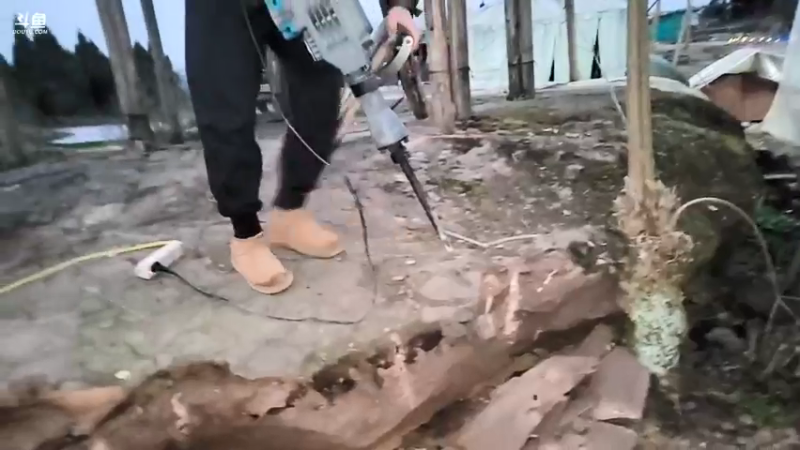 【2022-02-17 18点场】川味箩卜：新的一天新的开始 757122