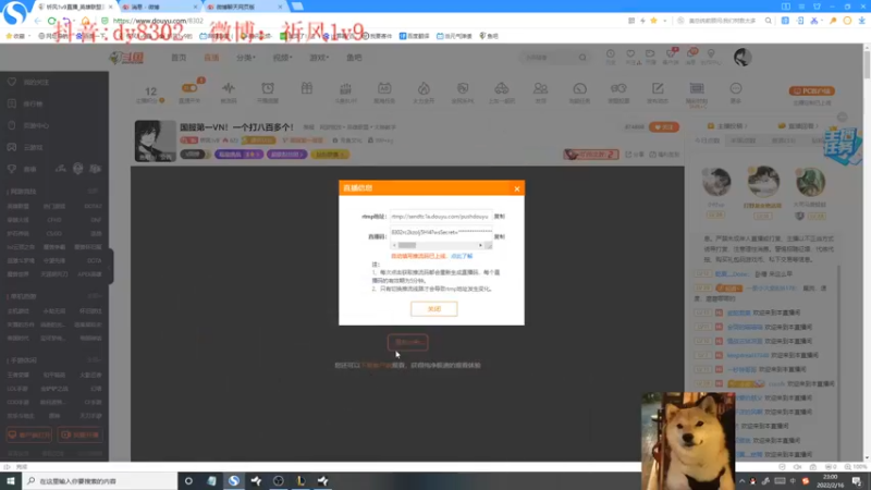 【2022-02-16 23点场】祈风1v9：国服第一VN！一个打八百多个！