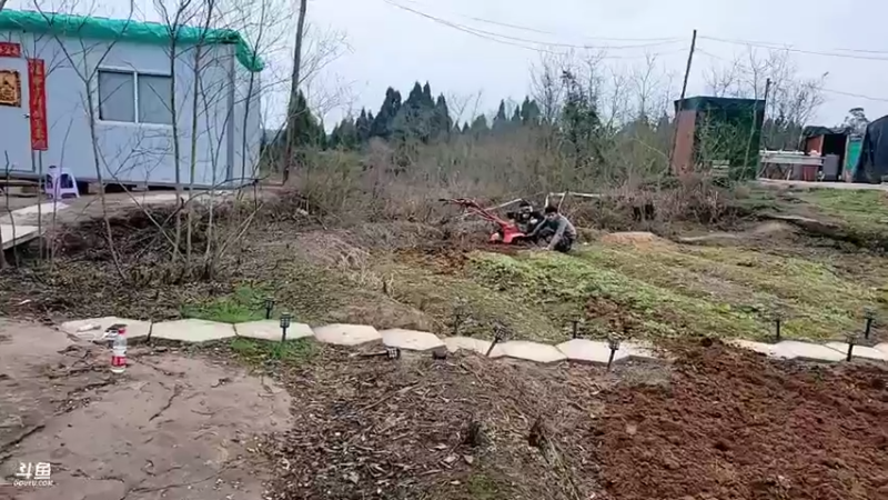 【2022-02-17 16点场】川味箩卜：新的一天新的开始 757122