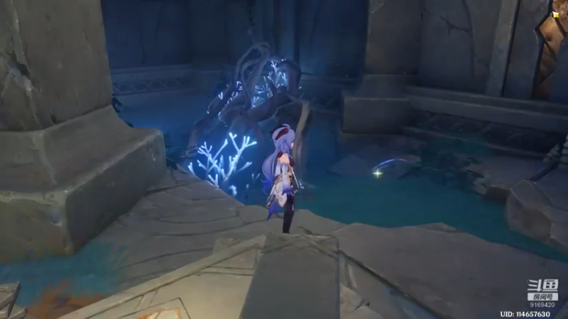 【2022-02-17 13点场】白fz：菜成狗 9169420