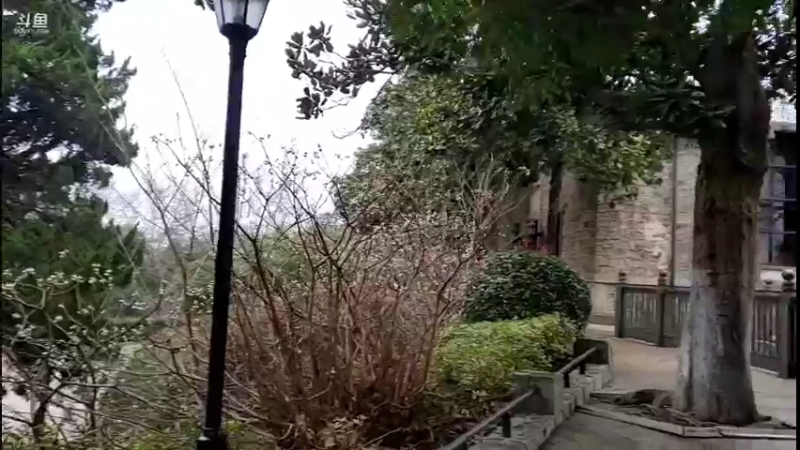 【2022-02-17 16点场】刘灶灶：刘灶灶的瓷器铺，周四啦