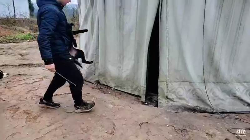 【2022-02-18 15点场】川味箩卜：基地健身房