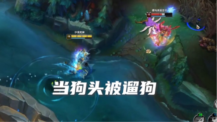 当大哥玩狗头被皇子峡谷遛狗