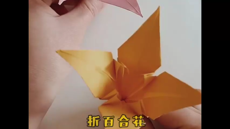 教你折个百合花