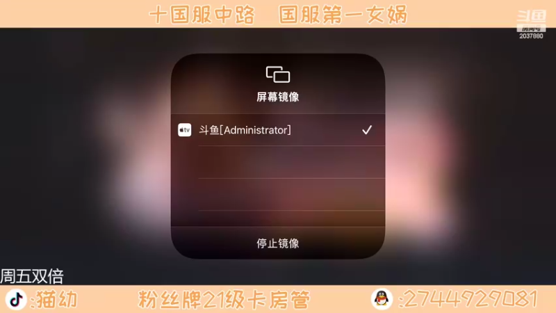 【2022-02-17 18点场】猫幼zzz：恨自己不够强！
