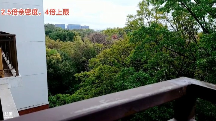 浩哥在聊天，王木木换手机来了