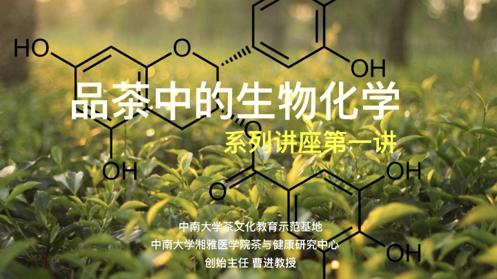 品茶中的生物化学一