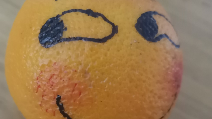 冬眠的鱼