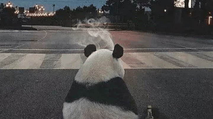 单排电狗