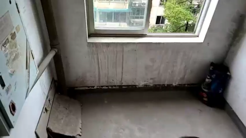 【2022-02-17 10点场】叶子户外：摊王之王。结束。