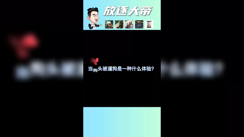 当大哥玩狗头被皇子峡谷遛狗