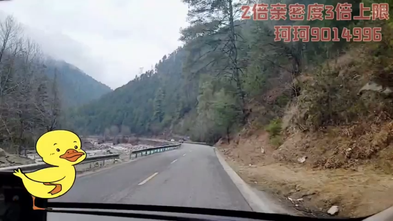 【2022-02-19 10点场】逐梦兄弟：《穷途末路》day10.通麦--林芝