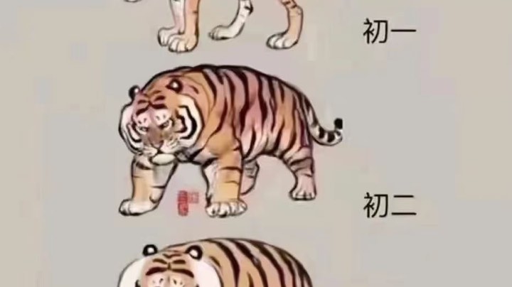 什么东东