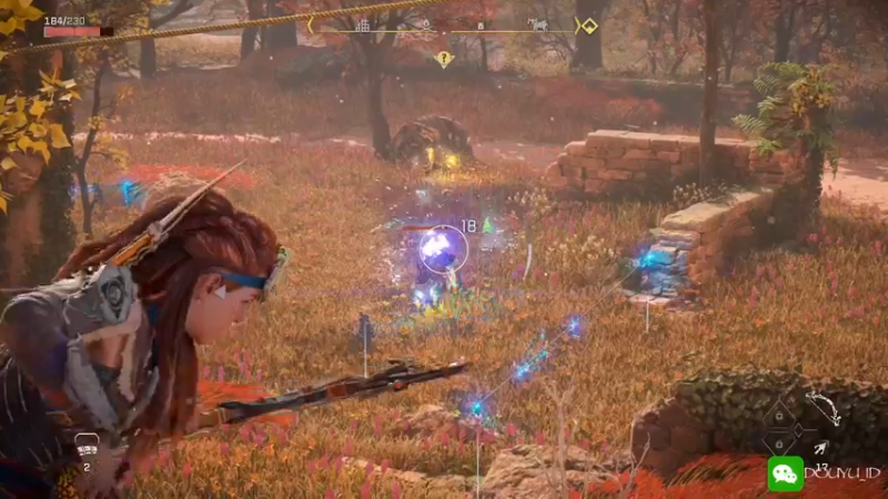 【2022-02-20 10点场】这个ID很流弊：地平线2 西之绝境（ID