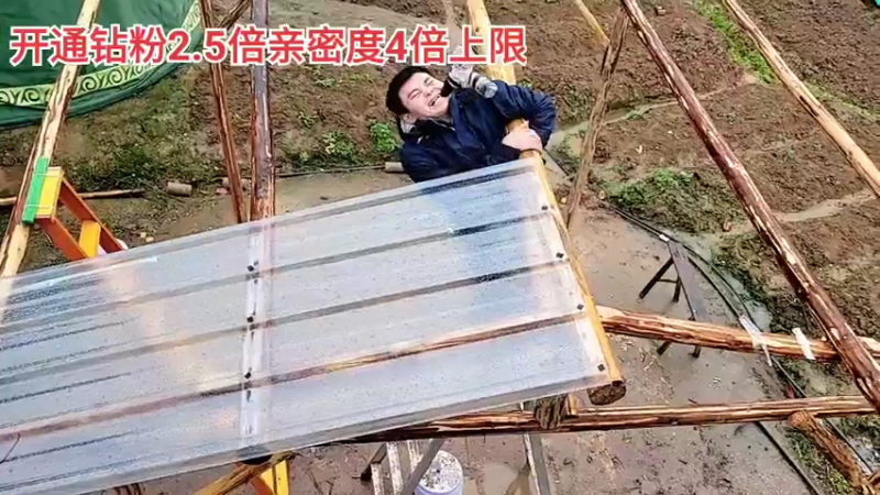 【2022-02-20 16点场】川味箩卜：2.5倍亲密度四倍上限