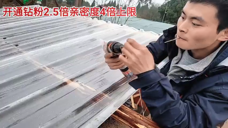 【2022-02-20 18点场】川味箩卜：2.5倍亲密度四倍上限