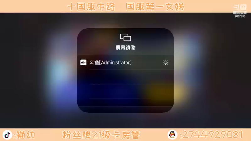 【2022-02-19 18点场】猫幼zzz：恨自己不够强！