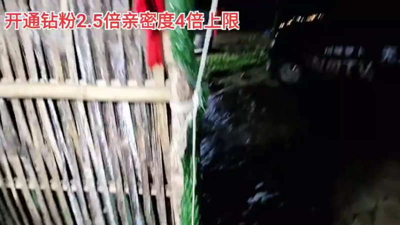 【2022-02-20 20点场】川味箩卜：2.5倍亲密度四倍上限