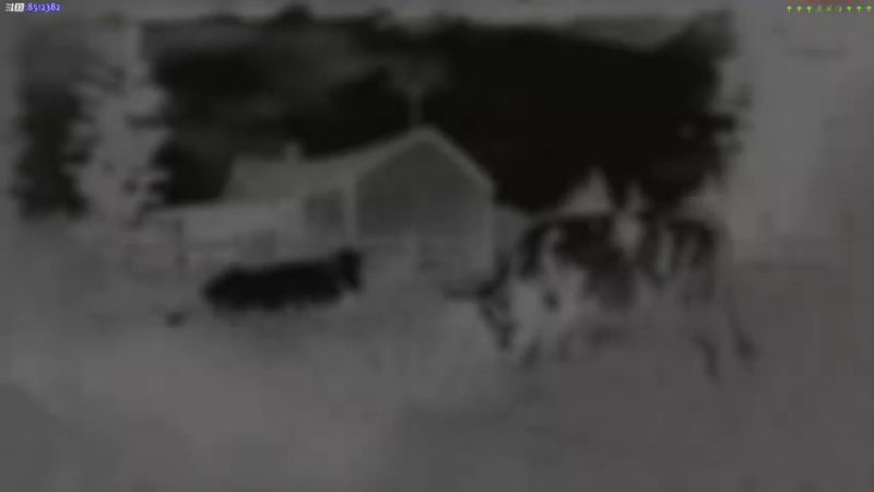 【2022-02-14 23点场】呜喵之王：【老猫】同样是打猎，这几天没播的真正原因