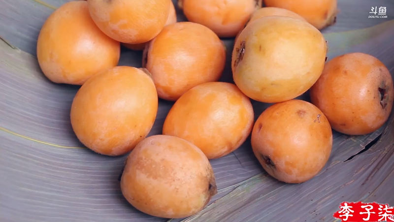 我在斗鱼看李子柒liziqi直播美食