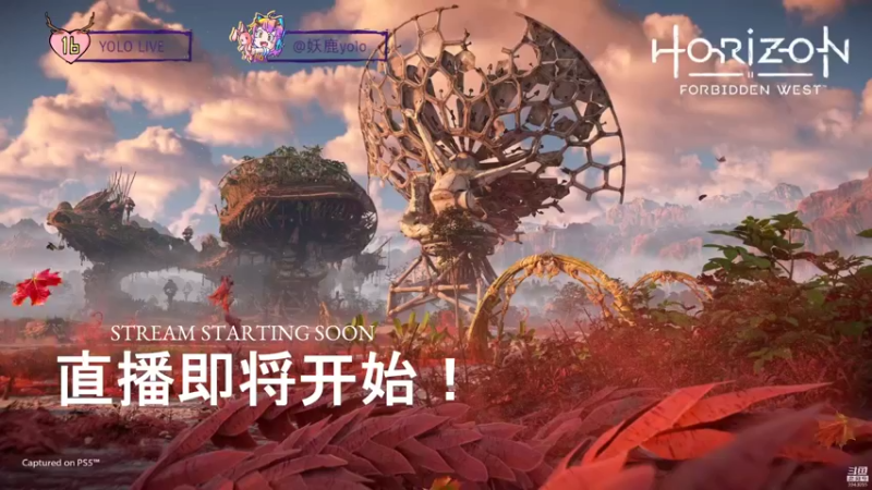 【2022-02-19 16点场】妖鹿yolo：【16】地平线西域禁地♥迷鹿新游放送