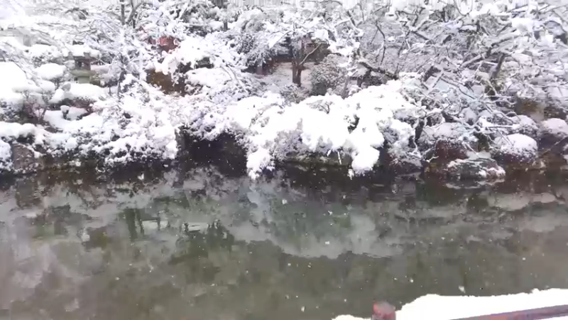 京都-清水寺