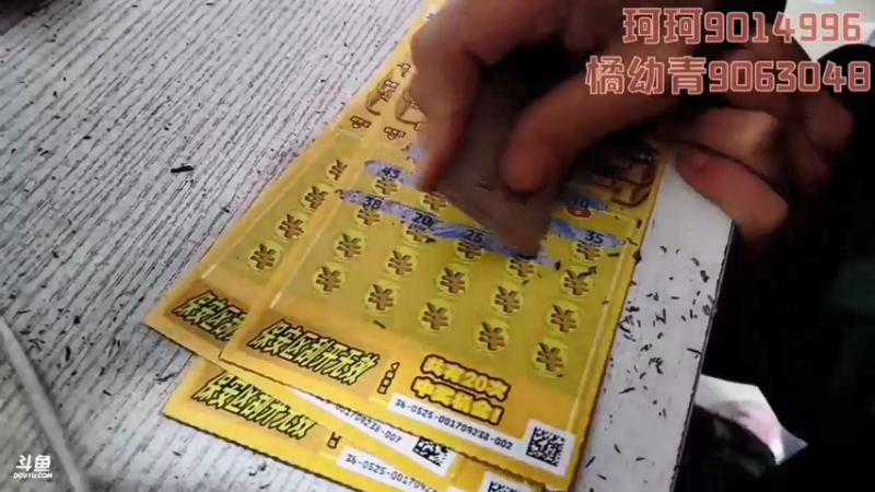 【2022-02-20 20点场】逐梦兄弟：《穷途末路》day11.林芝接小青