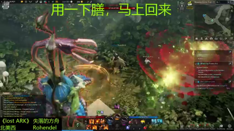 【2022-02-21 18点场】肥美的鸟人呀：娱乐一会儿我乱播