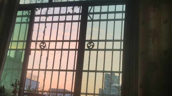 可爱的逗君