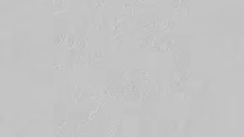 【2022-02-22 10点场】jason8123：随便上个大师 2684828