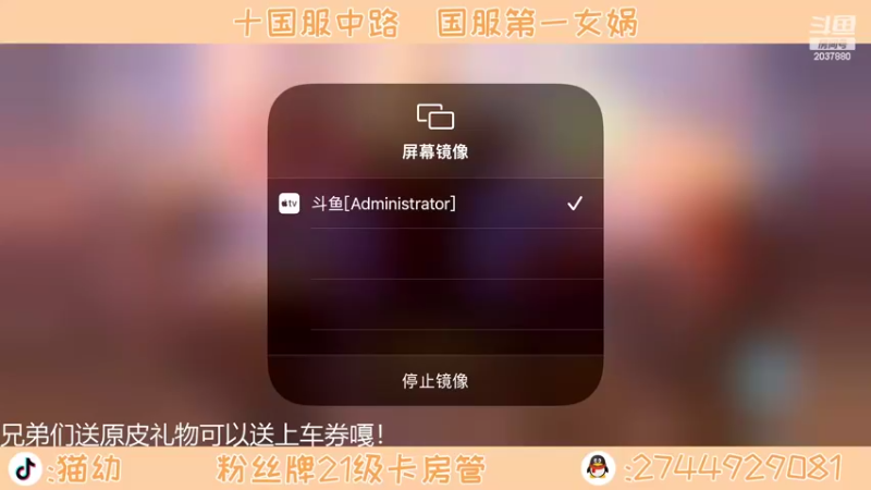 【2022-02-21 18点场】猫幼zzz：恨自己不够强！