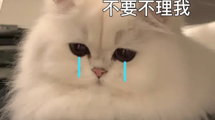 【2022-02-22 00点③场】