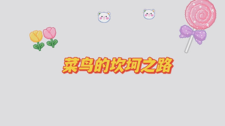 菜鸟的成长之路