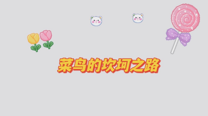 菜鸟的成长之路