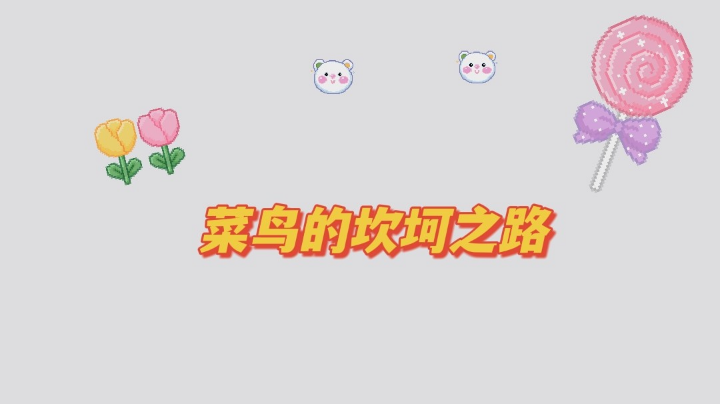 菜鸟的坎坷之路