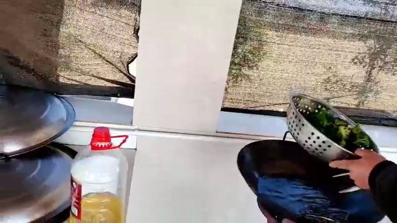 【2022-02-24 12点场】洪湖小肖：徒手摸黑鱼  337852