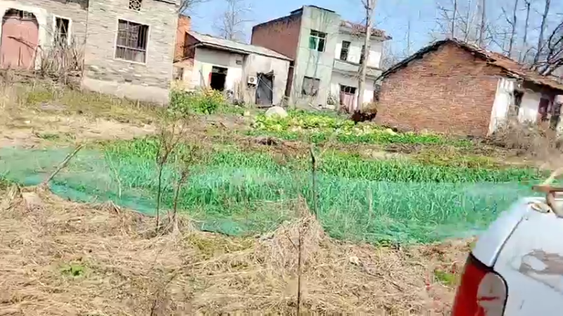 【2022-02-24 14点场】洪湖小肖：徒手摸黑鱼  337852