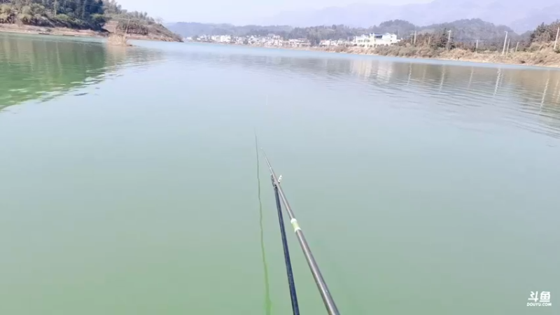【2022-02-24 12点场】中华户外钓鱼：梅田野钓试试吧