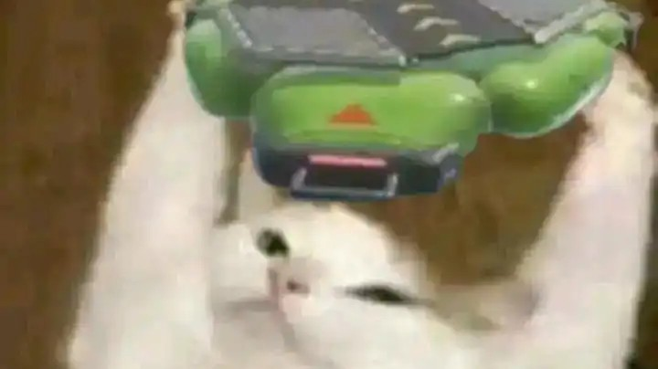天天摆烂
