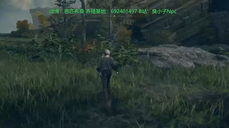 【2022-02-25 01点场】金甲EzNpc：艾尔登法环！ 4572396