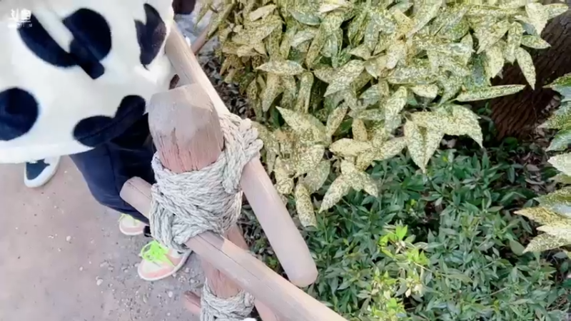 【2022-02-24 16点场】球球OvOvO：球球：迪士尼！