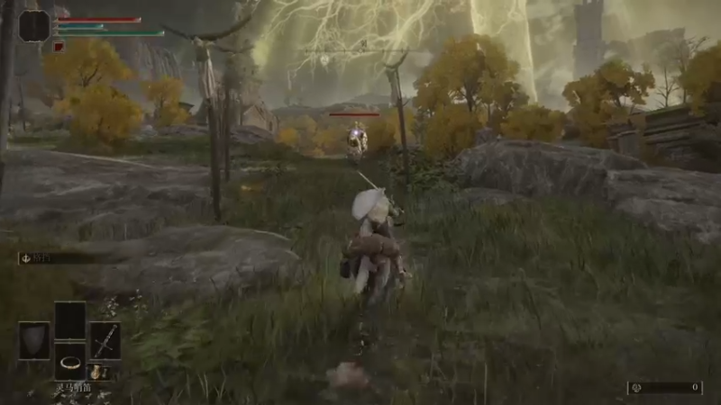 【2022-02-25 03点场】不死鸟3DM：138斤见