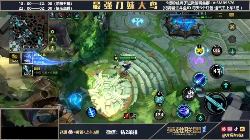 【2022-02-24 01点场】大鸟Irelia：刀妹打野百分百胜率教学