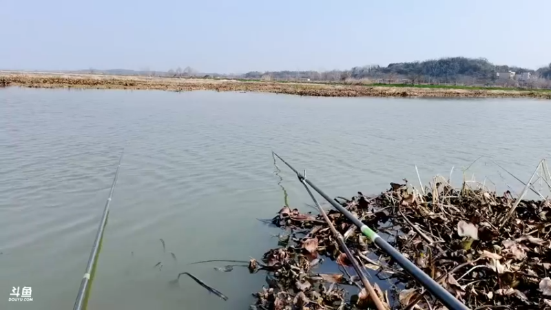 【2022-02-25 15点场】中华户外钓鱼：斧头湖搞起！！！
