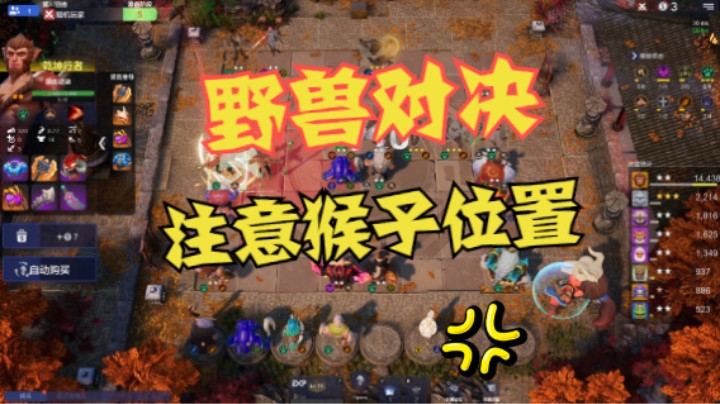 两家6野兽对决！总有一只猴得先倒