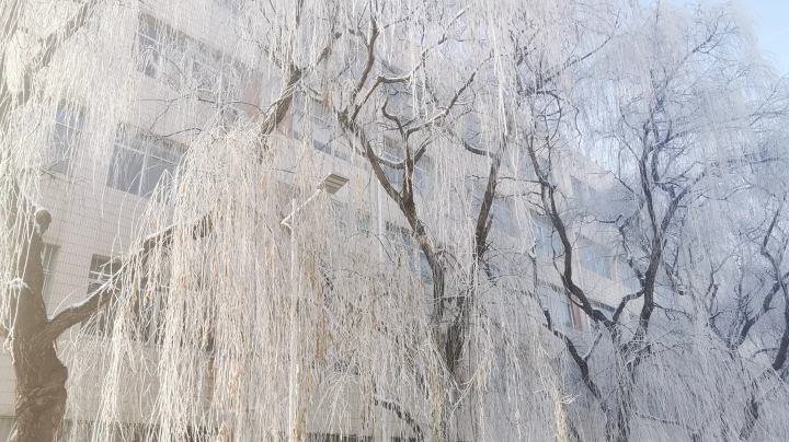 夜里的床  好冷