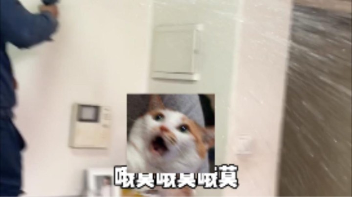 震惊！敲盆女主播翘班竟是因为一块洞洞板？