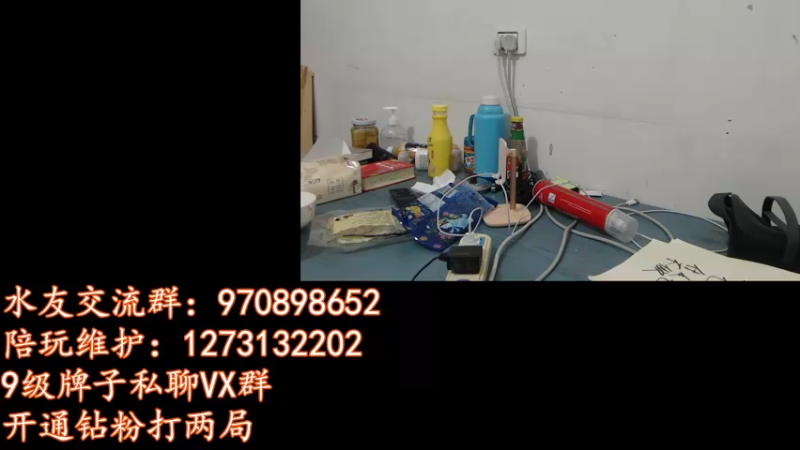 【2022-02-24 17点场】安酱OxO：今天是大家最喜欢绿色毛毛虫哦！！！
