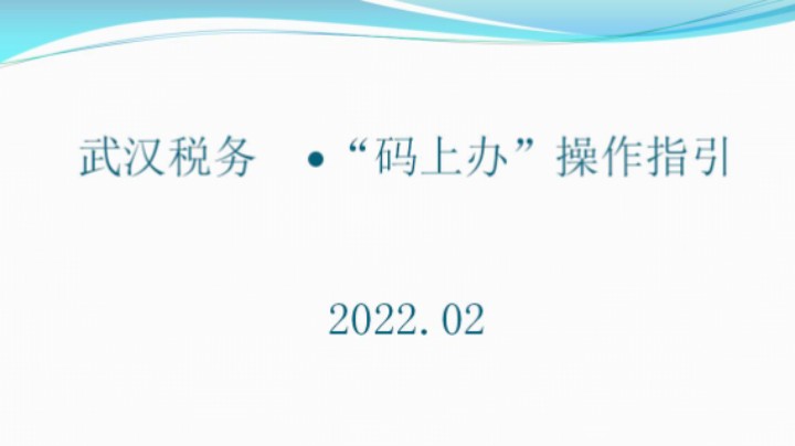 【正能量】武汉税务  ∙“码上办”操作指引 20220224 09点场